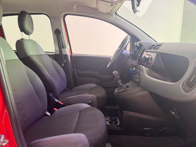 FIAT Panda usata 6