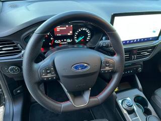 FORD Focus usata 17