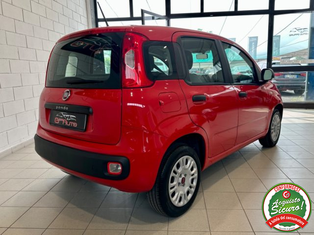 FIAT Panda usata, con Alzacristalli elettrici