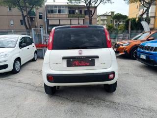 FIAT Panda usata, con Antifurto