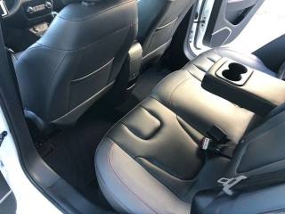 EVO Evo3 usata, con Bracciolo