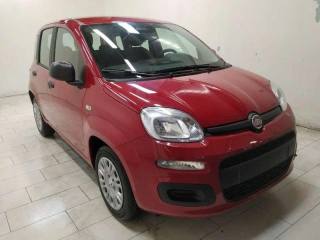 FIAT Panda usata, con Airbag