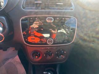 FIAT Punto usata, con Fendinebbia