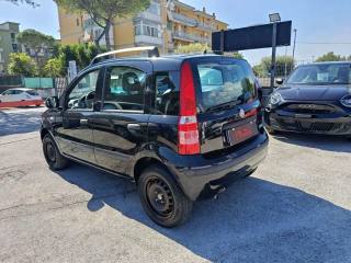 FIAT Panda usata, con Antifurto
