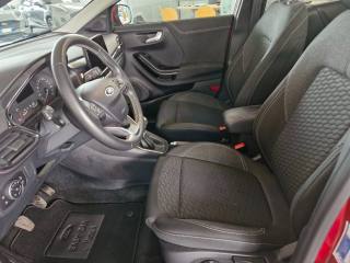 FORD Puma usata, con Cronologia tagliandi