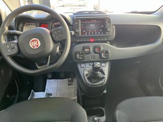 FIAT Panda Cross usata, con Chiusura centralizzata