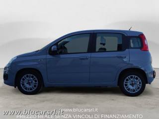 FIAT Panda usata 2