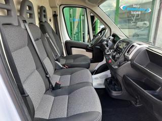 FIAT Ducato usata, con Servosterzo