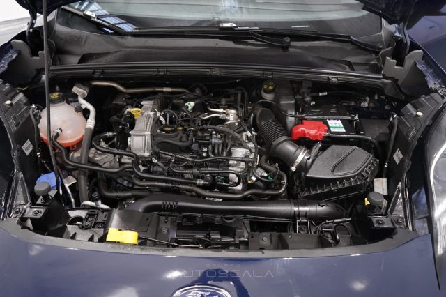FORD Puma usata 32