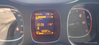 FIAT Panda Cross usata 20