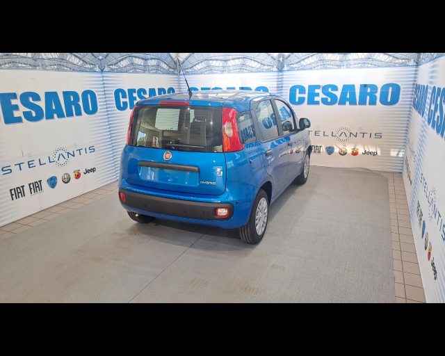 FIAT New Panda usata, con Alzacristalli elettrici