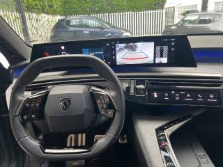 PEUGEOT 3008 usata, con Vetri oscurati