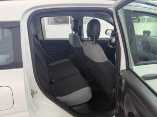 FIAT Panda usata 20