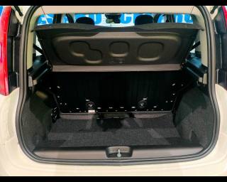 FIAT New Panda usata 19