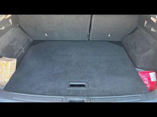 RENAULT Austral usata, con Controllo automatico clima