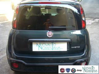 FIAT Panda Cross usata, con Fendinebbia