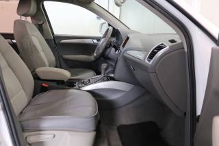 AUDI Q5 usata, con Airbag testa