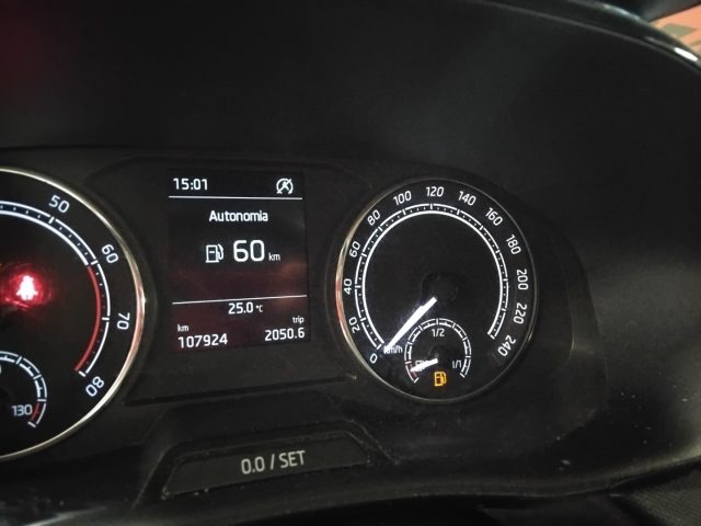 SKODA Fabia usata 21