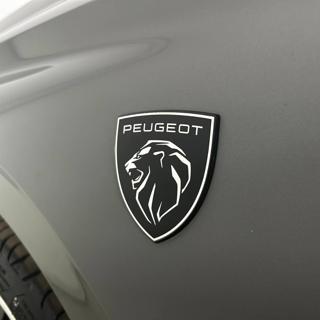 PEUGEOT 308 usata, con Luci diurne