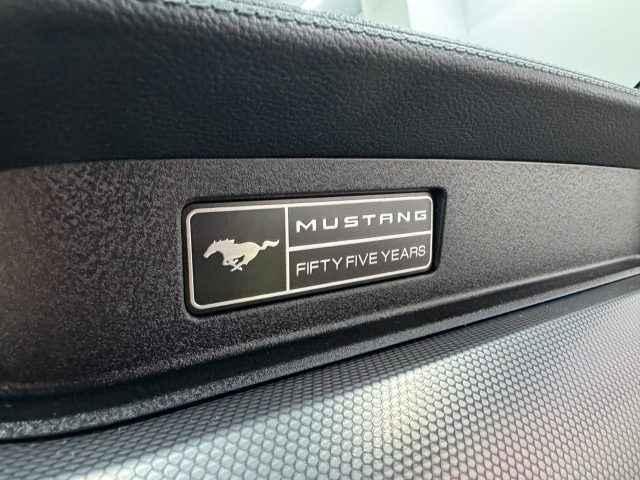 FORD Mustang usata, con Telecamera per parcheggio assistito