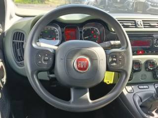 FIAT Panda usata, con Cerchi in lega