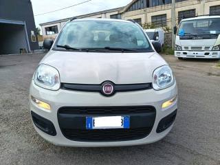 FIAT Panda usata 2