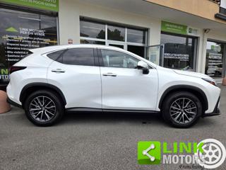 LEXUS NX 350h usata, con Cronologia tagliandi