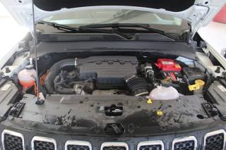 JEEP Compass usata, con Autoradio digitale