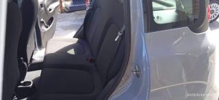 FIAT Panda Cross usata, con Fendinebbia