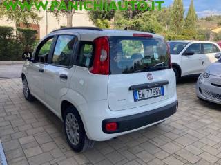FIAT Panda usata, con Climatizzatore