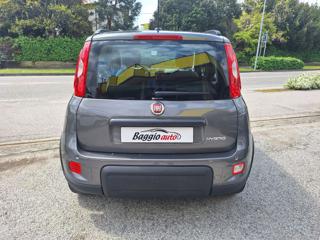 FIAT Panda usata, con Airbag testa