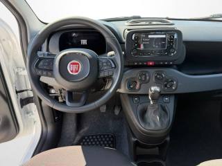 FIAT Pandina usata, con ESP