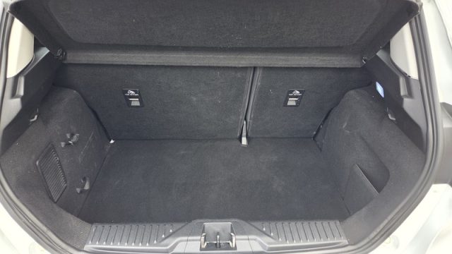 FORD Fiesta usata, con Controllo automatico clima
