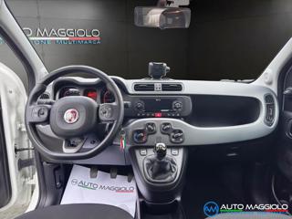 FIAT Panda usata, con Controllo trazione
