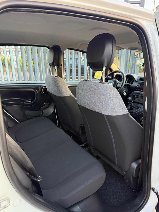 FIAT Panda usata 13