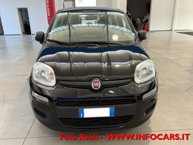 FIAT Panda usata 14