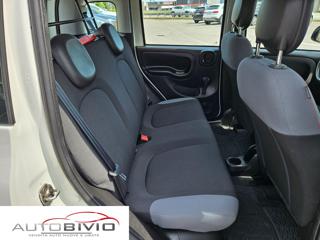 FIAT Panda usata 20