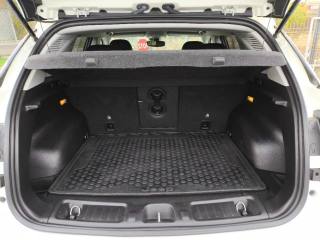 JEEP Compass usata 14