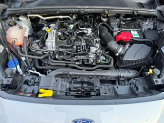 FORD Puma usata, con Airbag testa