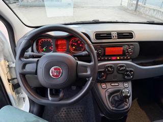 FIAT Panda usata, con Airbag testa