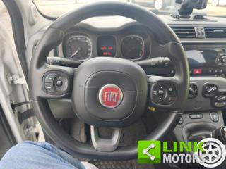 FIAT Panda usata 11