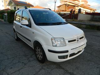 FIAT Panda 1.2 Benzina 69CV 5P - GARANTITA