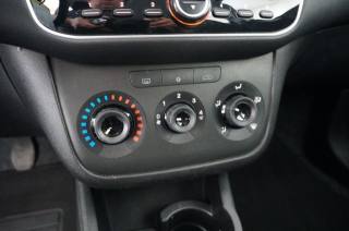 FIAT Punto usata, con Volante multifunzione