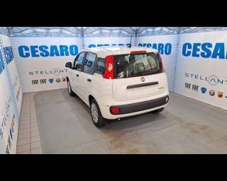 FIAT Panda usata, con Alzacristalli elettrici