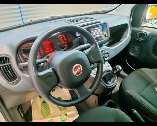 FIAT New Panda usata, con Controllo automatico clima