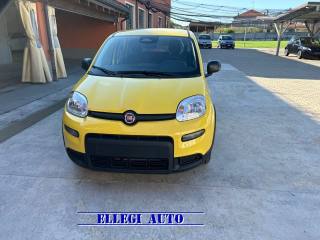 FIAT Panda usata, con Airbag