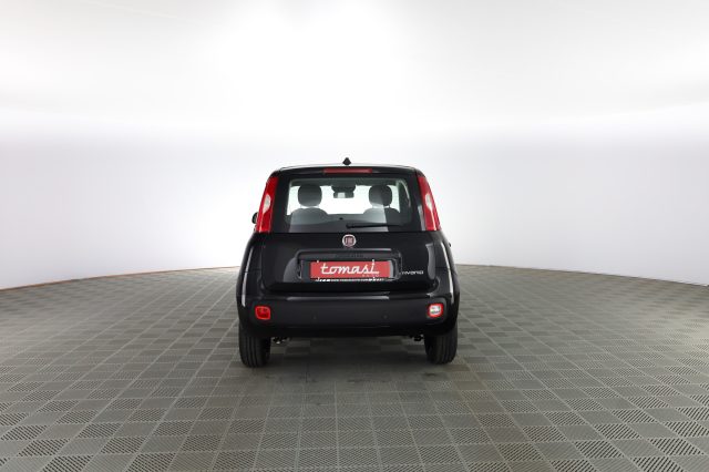 FIAT Panda usata 4