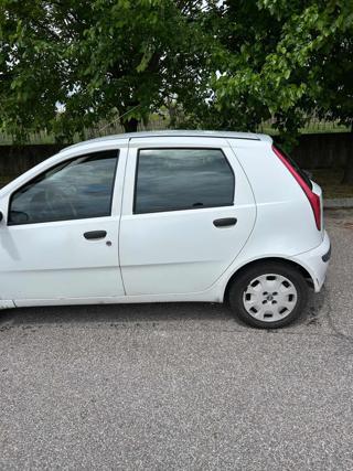 FIAT Punto usata 2
