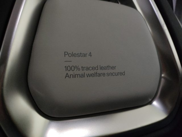 POLESTAR Polestar 4 usata, con Immobilizzatore elettronico