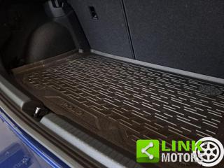 VOLKSWAGEN Polo usata 21